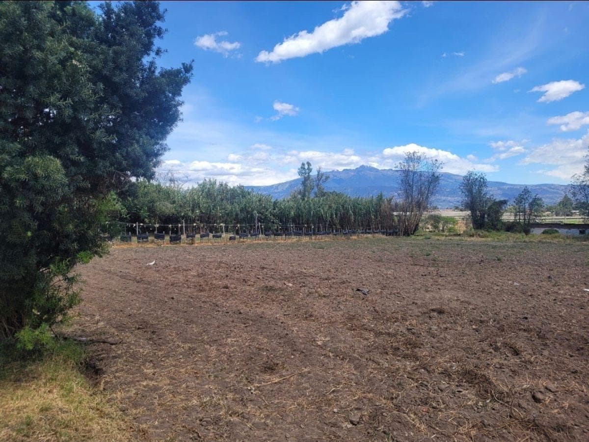 Terreno Plano de 6800 m² en Venta en Tababela — imagen 4