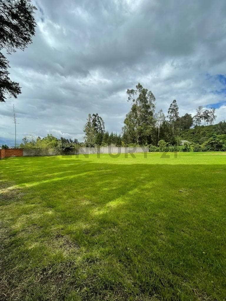 En Venta Terreno 1500 m². Sector Pifo — imagen 7