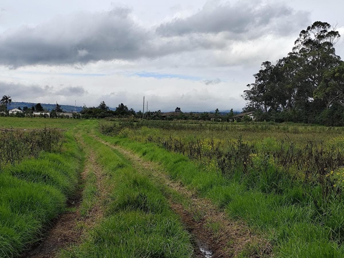 Terreno Esquinero 3.6 Hectáreas en Venta Sobre La Panamericana, Machachi — imagen 8