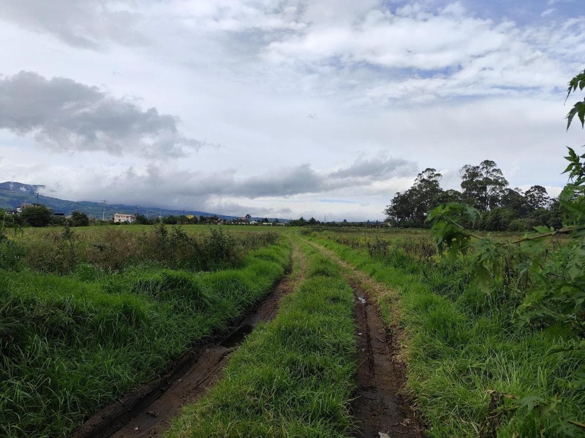 Terreno Esquinero 3.6 Hectáreas en Venta Sobre La Panamericana, Machachi — imagen 6