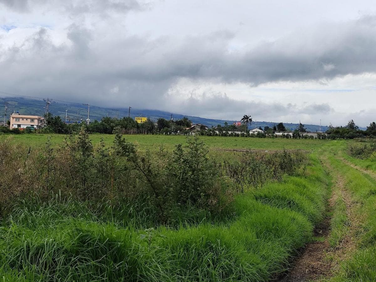 Terreno Esquinero 3.6 Hectáreas en Venta Sobre La Panamericana, Machachi — imagen 4