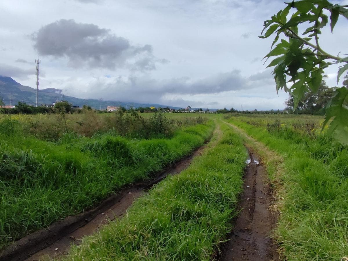 Terreno Esquinero 3.6 Hectáreas en Venta Sobre La Panamericana, Machachi — imagen 3
