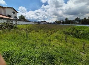 Terreno en Venta Sector Conoto - El Dean Bajo — imagen 5