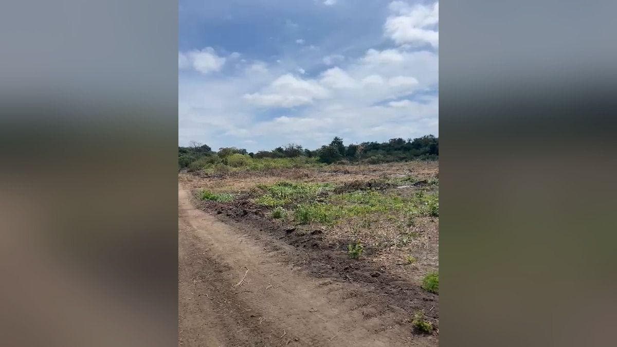 Vendo Macrolote de 39,20 Ha en Km 37 Vía a La Costa - Mlvillegas, Guayas — imagen 9