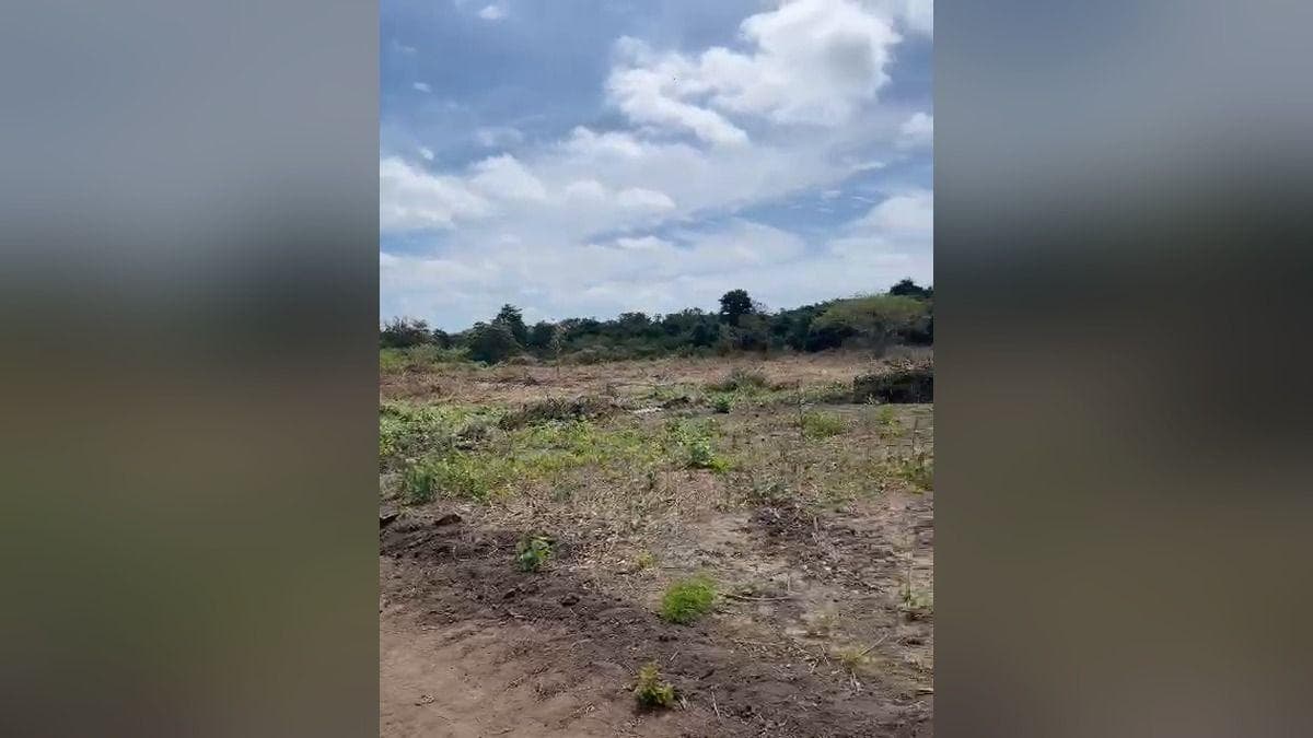 Vendo Macrolote de 39,20 Ha en Km 37 Vía a La Costa - Mlvillegas, Guayas — imagen 8