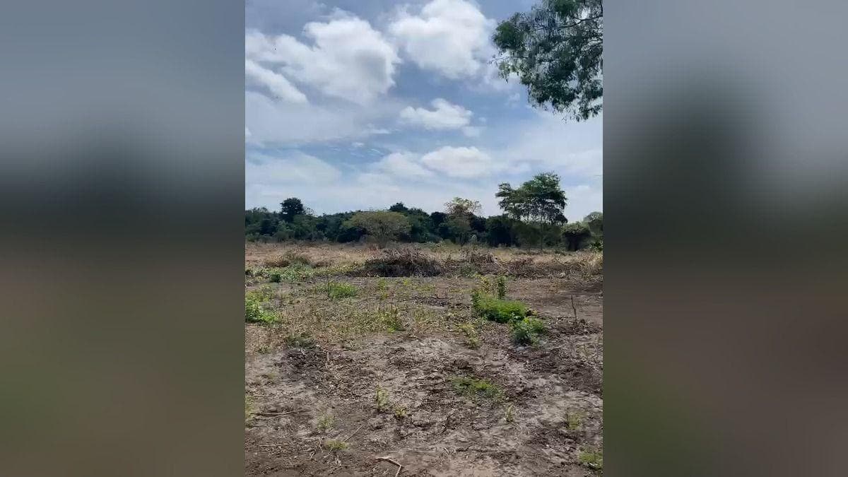 Vendo Macrolote de 39,20 Ha en Km 37 Vía a La Costa - Mlvillegas, Guayas — imagen 7