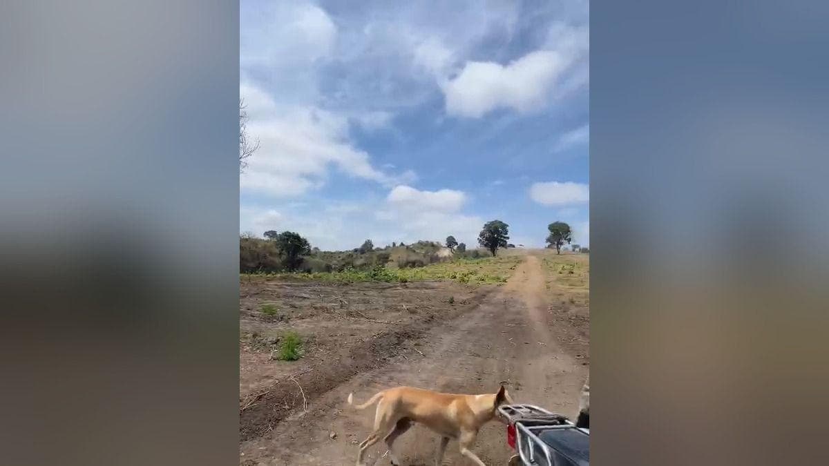 Vendo Macrolote de 39,20 Ha en Km 37 Vía a La Costa - Mlvillegas, Guayas — imagen 5