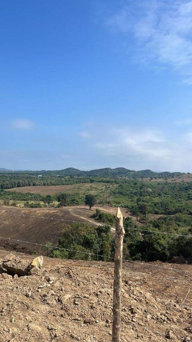 Vendo Macrolote de 39,20 Ha en Km 37 Vía a La Costa - Mlvillegas, Guayas — imagen 4
