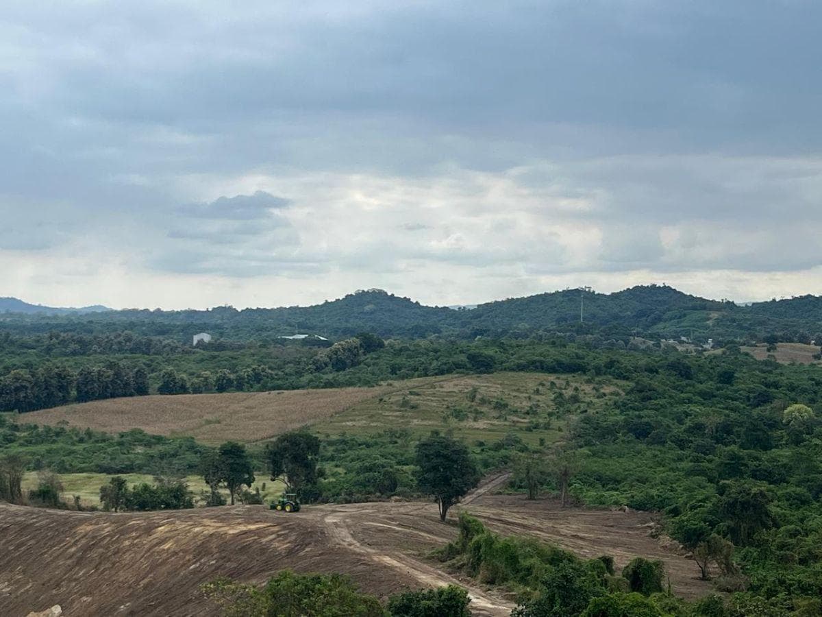 Vendo Macrolote de 39,20 Ha en Km 37 Vía a La Costa - Mlvillegas, Guayas — imagen 3