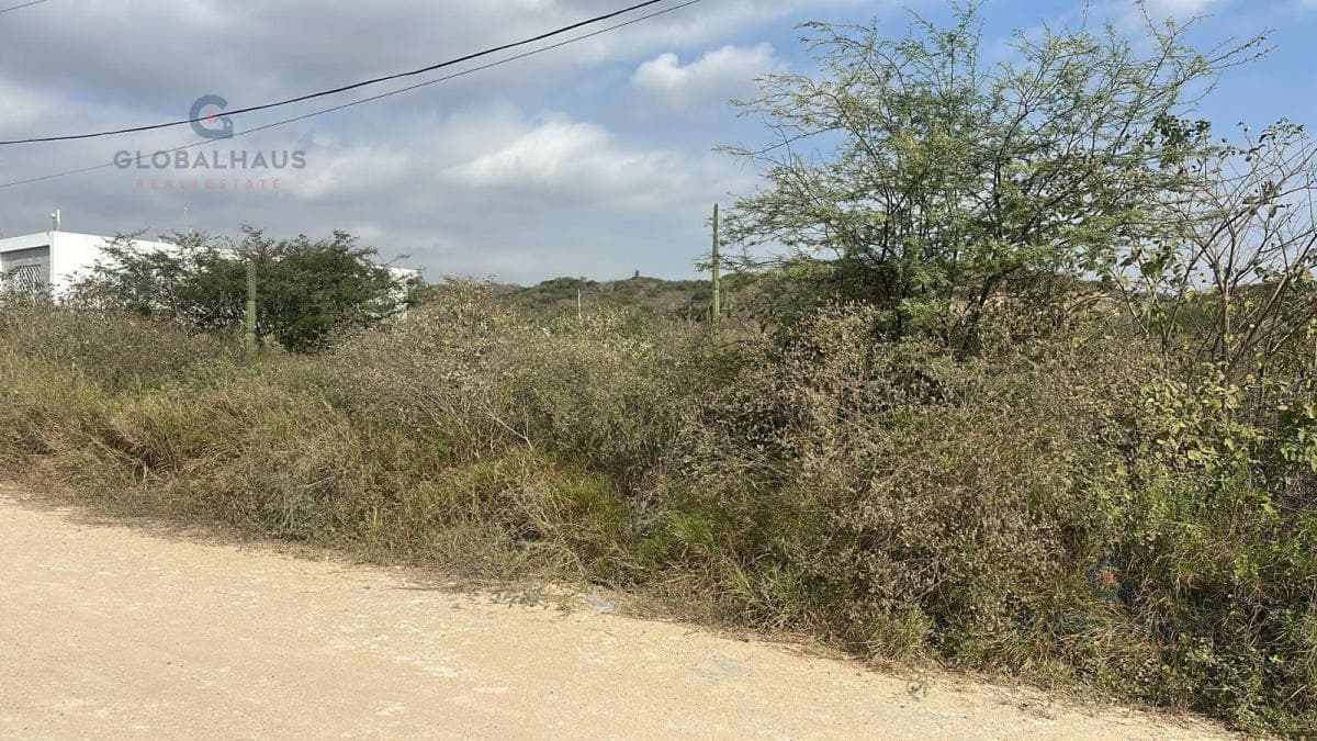 Terreno en Venta de 250 m en Urb. Taos, Punta Blanca E. D. Provincia de Santa Elena — imagen 6