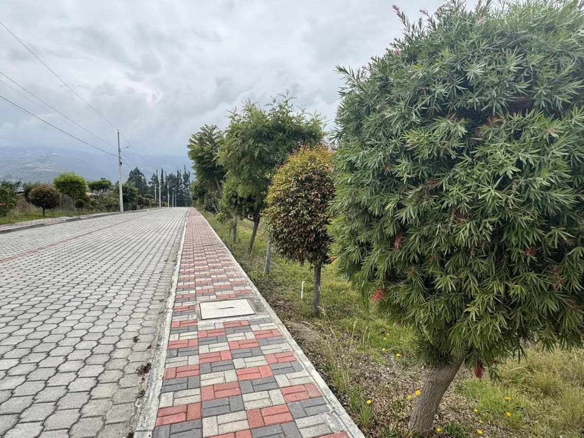 Venta Terreno de 1000 m² en Hacienda La Pradera Sector Tabacundo — imagen 5