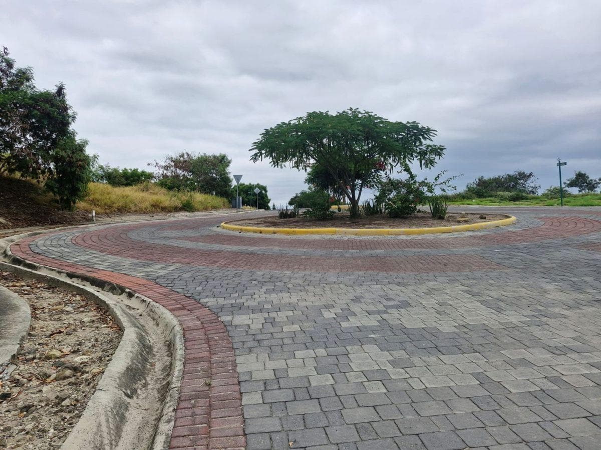Terreno de Venta Sector Norte de Montecristi, Manabí — imagen 10