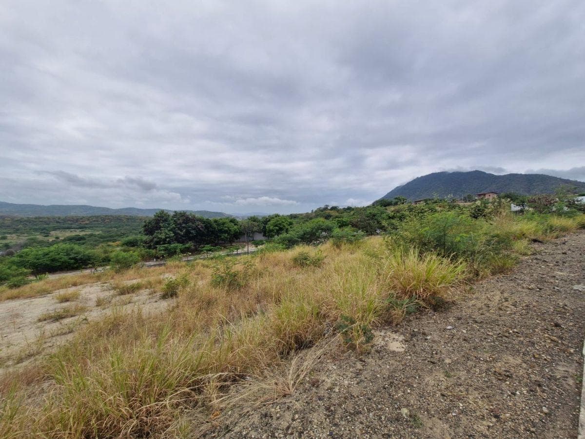 Terreno de Venta Sector Norte de Montecristi, Manabí — imagen 9