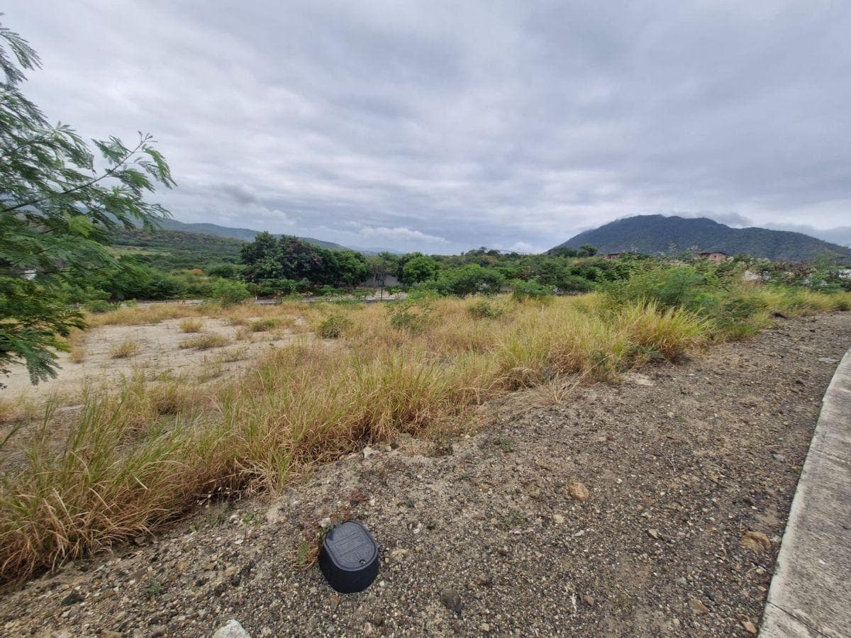 Terreno de Venta Sector Norte de Montecristi, Manabí — imagen 8