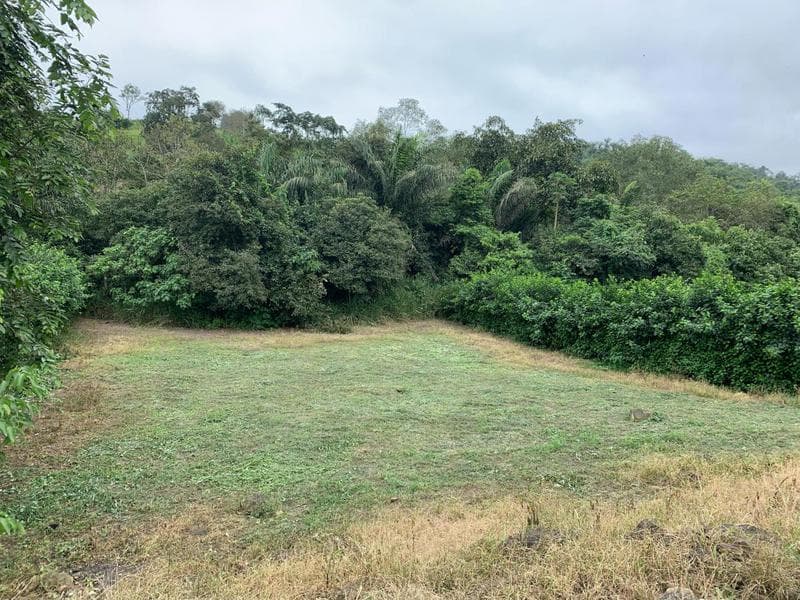 Terrenos de Venta en Olon en Lotizacion Privada — imagen 10