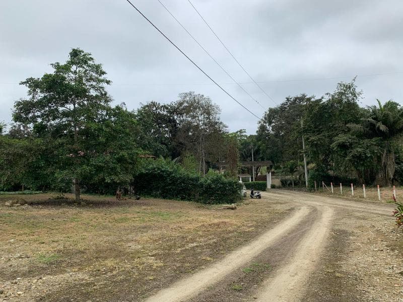 Terrenos de Venta en Olon en Lotizacion Privada — imagen 9