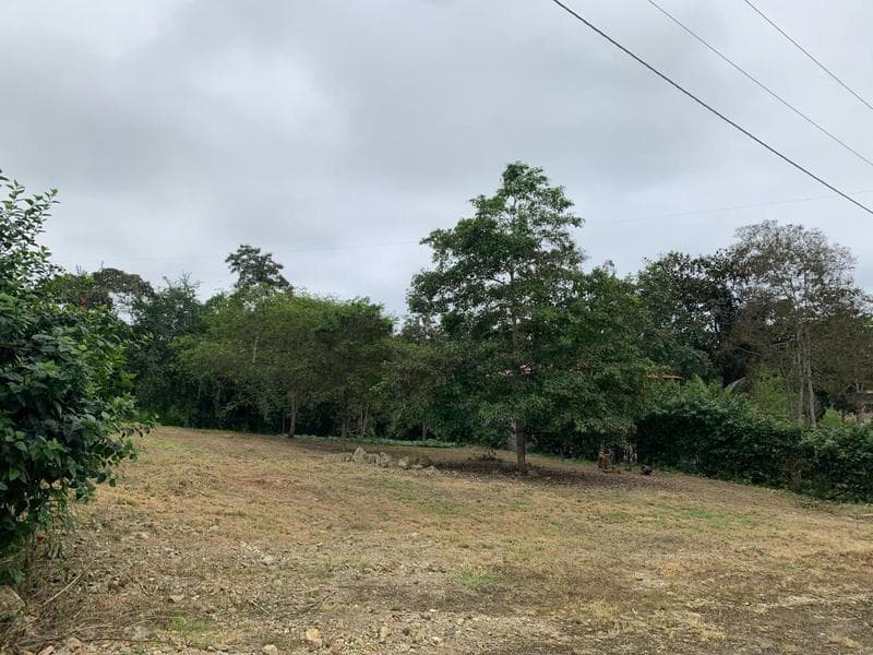 Terrenos de Venta en Olon en Lotizacion Privada — imagen 6