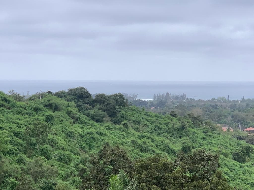 Terrenos de Venta en Olon en Lotizacion Privada — imagen 4