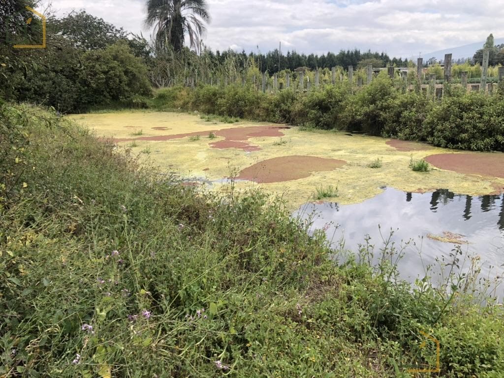 Terreno en venta en Quito, Pichincha