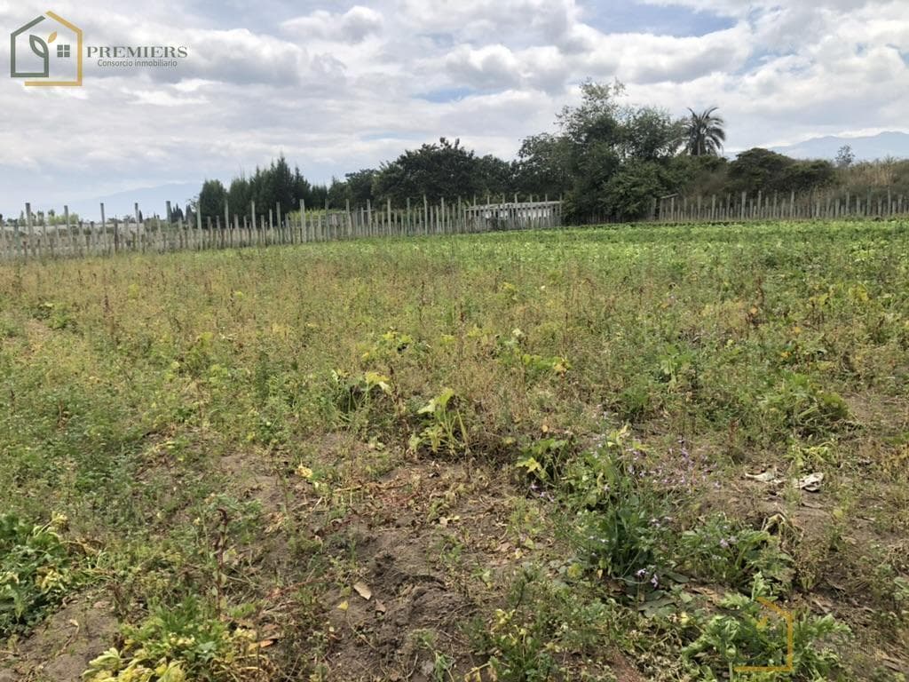 Lindo Terreno en La Poblacion de Tababela — imagen 7