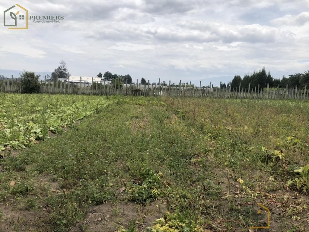Lindo Terreno en La Poblacion de Tababela — imagen 6