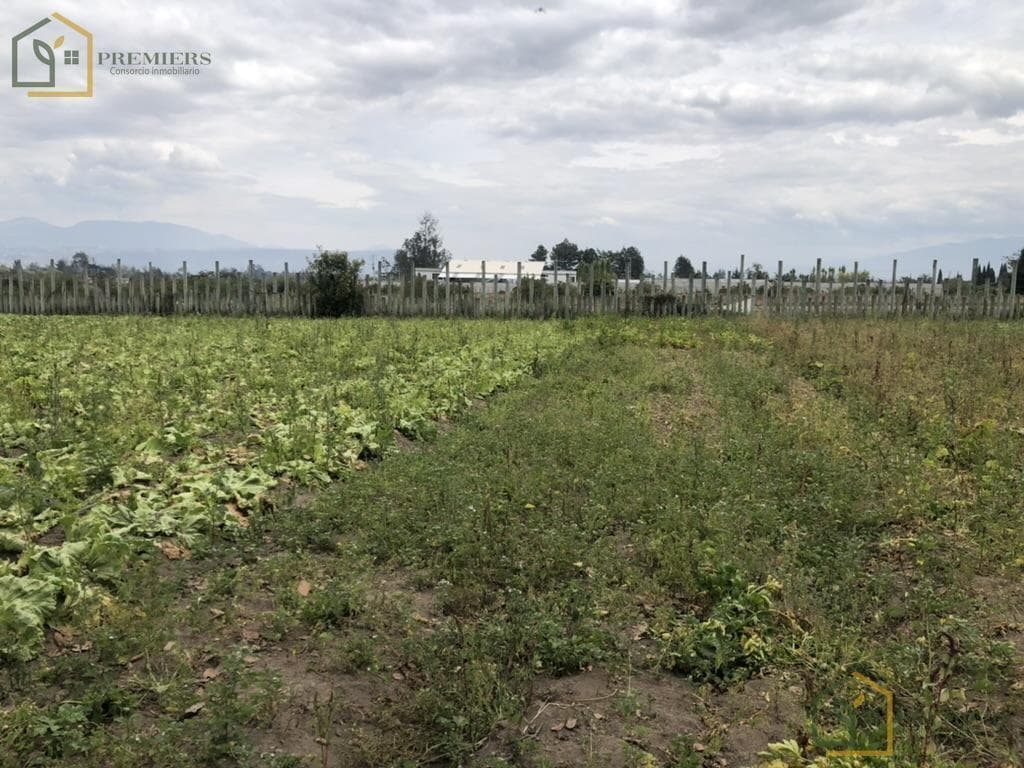 Lindo Terreno en La Poblacion de Tababela — imagen 5