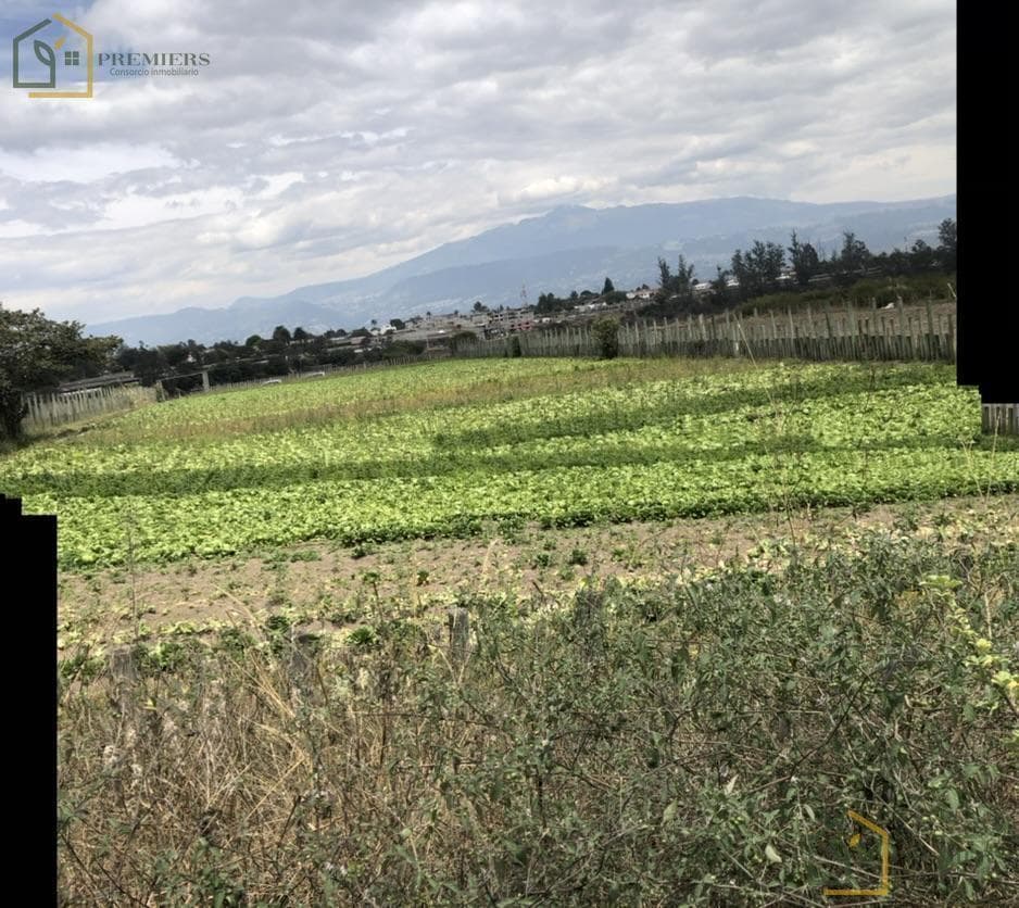 Lindo Terreno en La Poblacion de Tababela — imagen 4