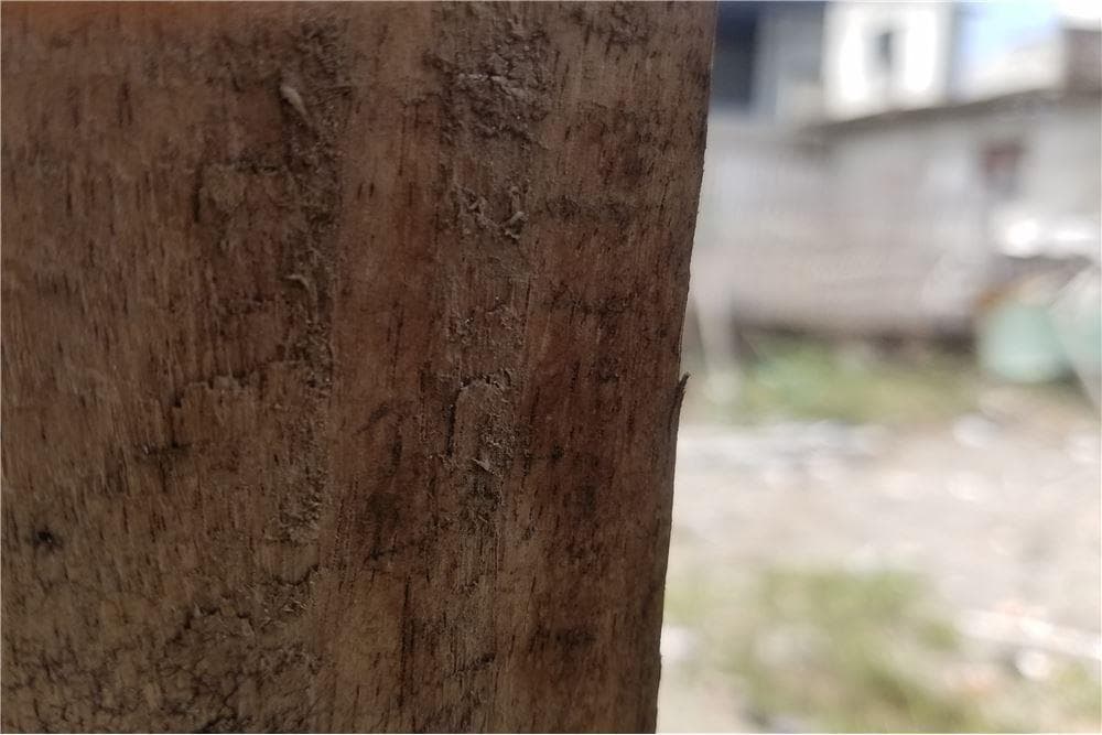 Terreno de Venta en Manta Zona Norte de Manabi, Manabí — imagen 6