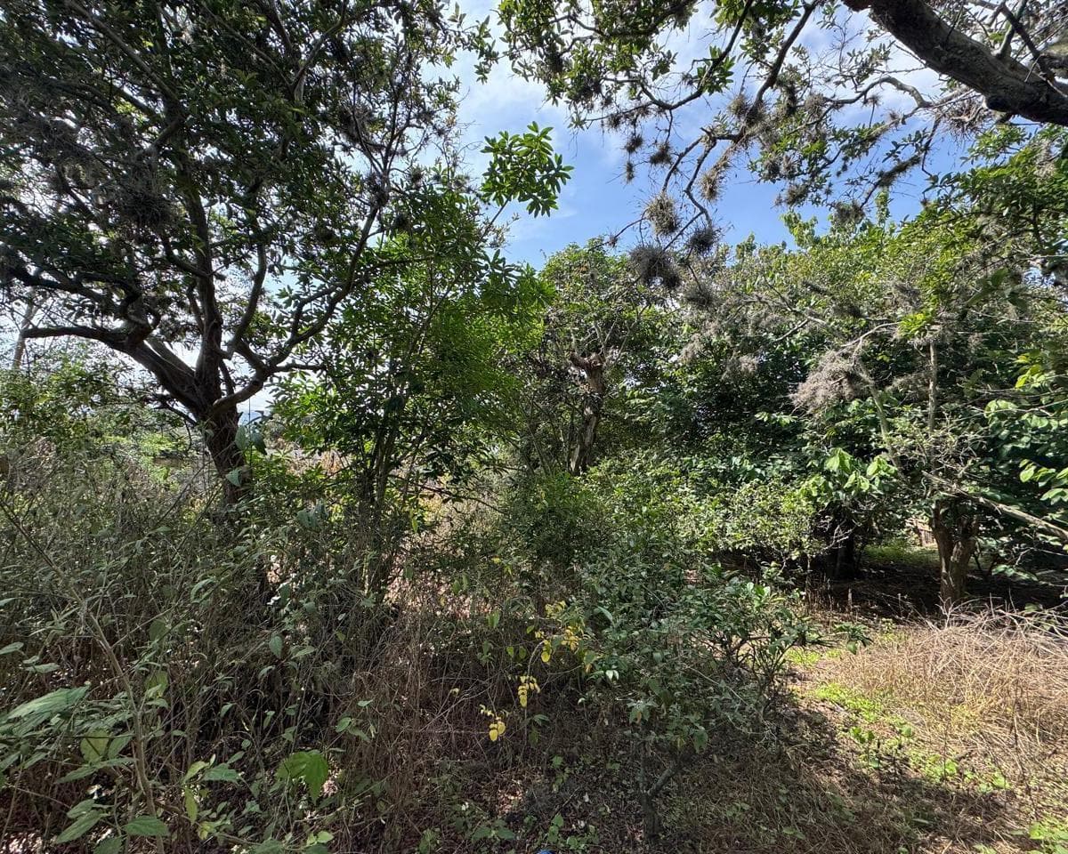 Terreno en venta en Quito, Pichincha
