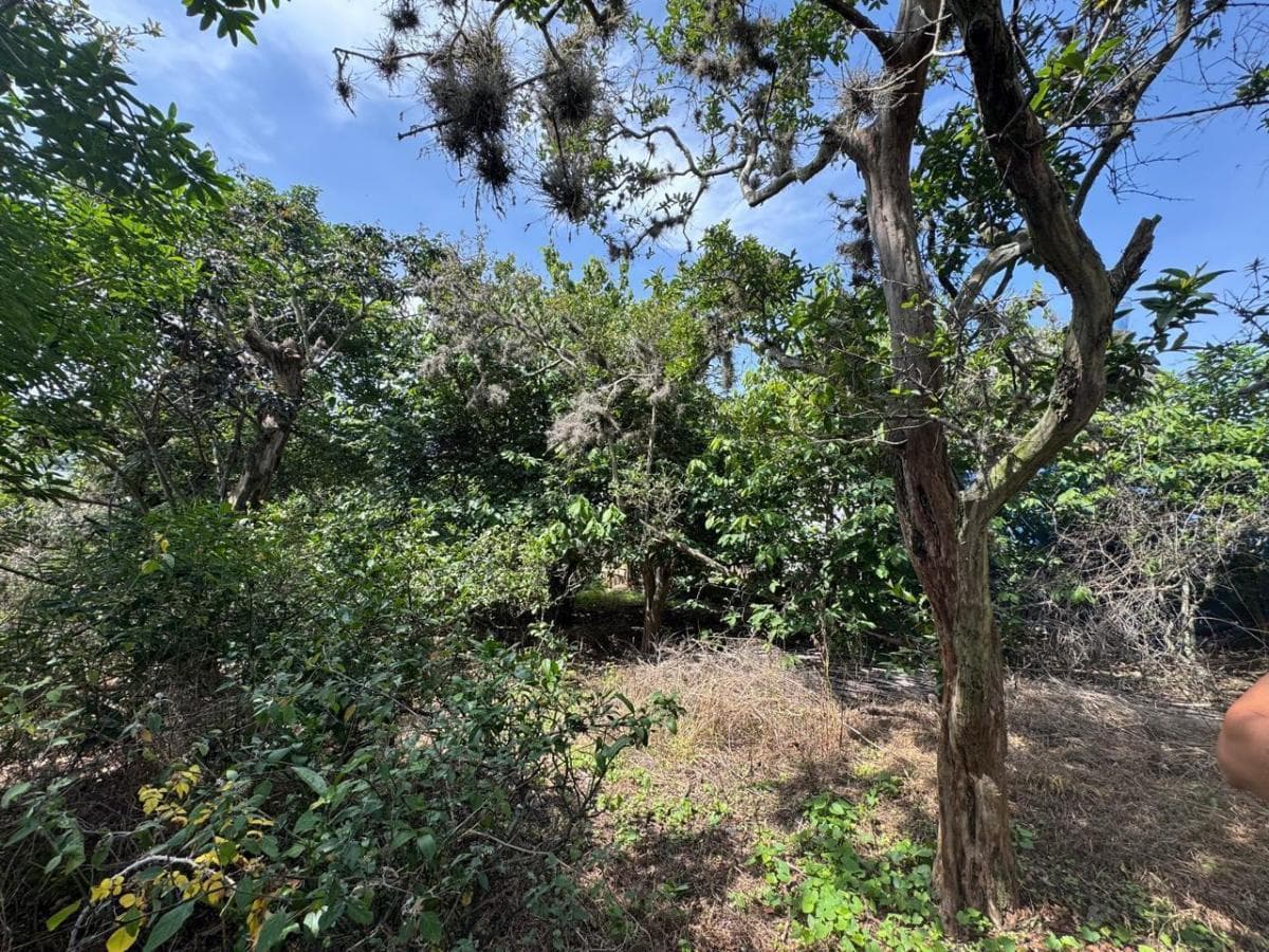 Tumbaco - Terreno en Venta — imagen 8