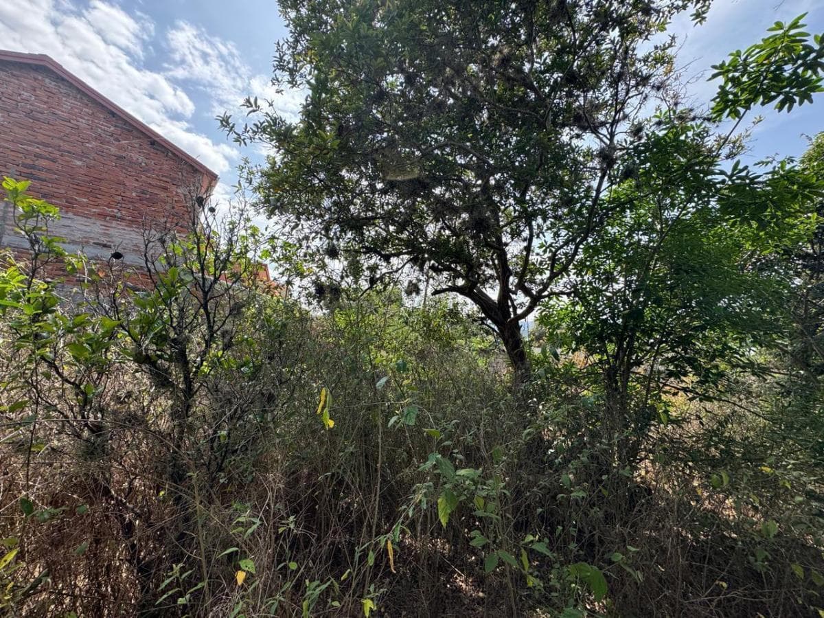 Tumbaco - Terreno en Venta — imagen 6