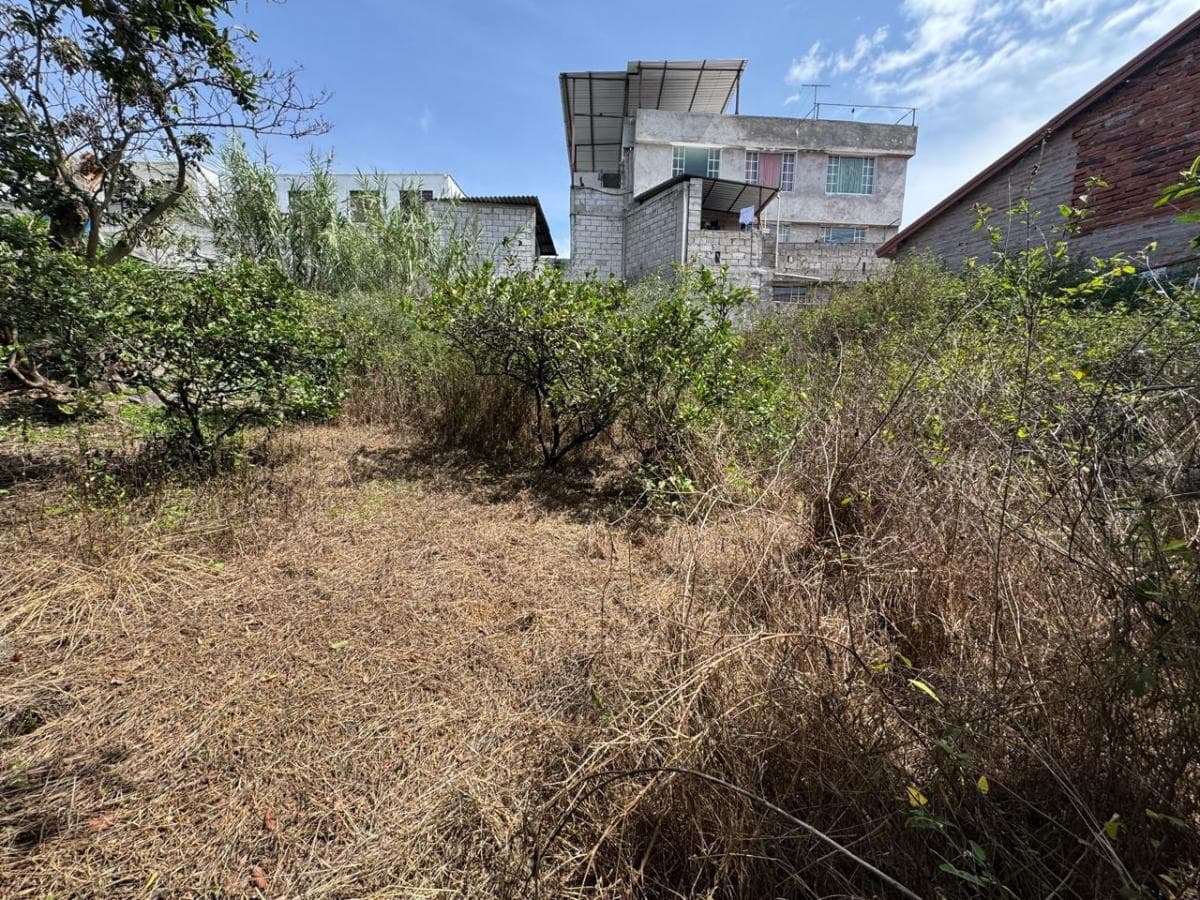 Tumbaco - Terreno en Venta — imagen 5