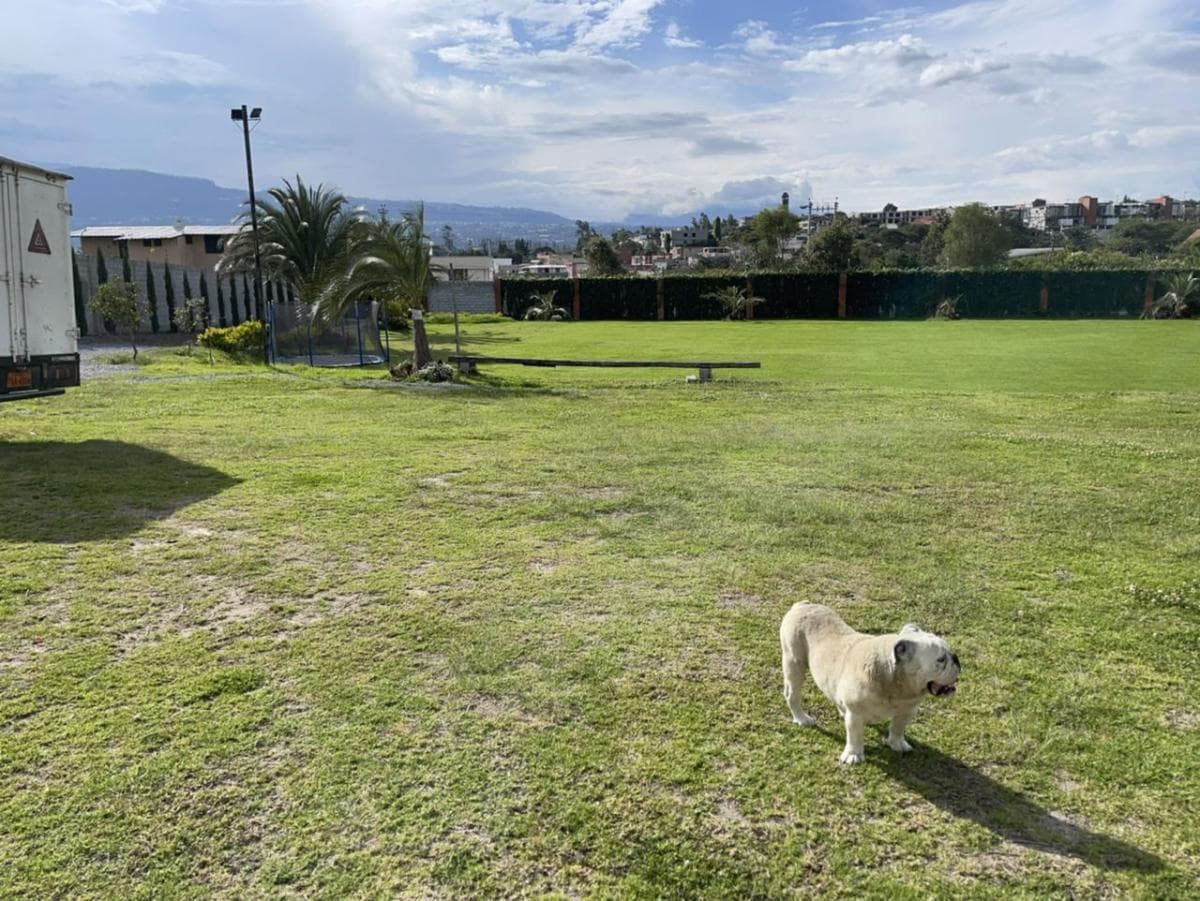 Terreno Tumbaco Sector Santa Rosa — imagen 3