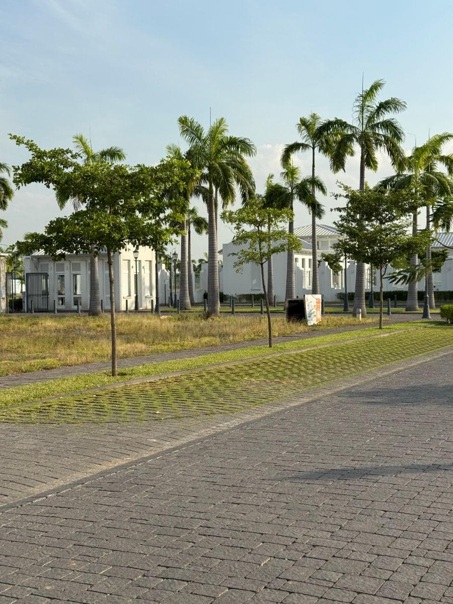 Vendo Terrenos en Aires Norte, Guayas — imagen 9