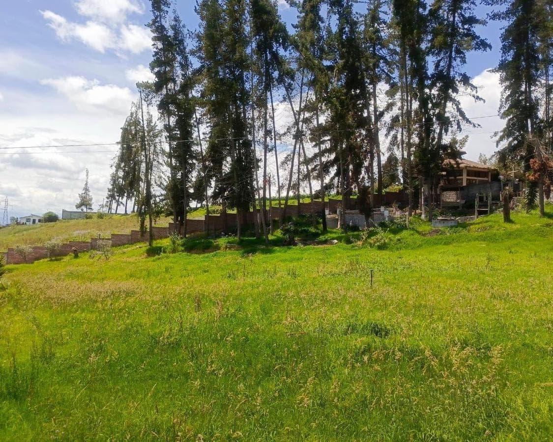 Lote en Venta en El Norte de Ambato. Sector Exclusivo, Tungurahua — imagen 10
