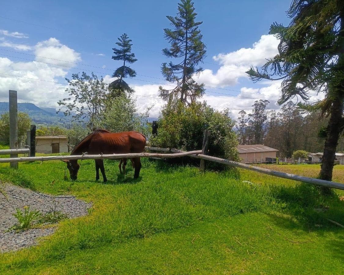 Lote en Venta en El Norte de Ambato. Sector Exclusivo, Tungurahua — imagen 9