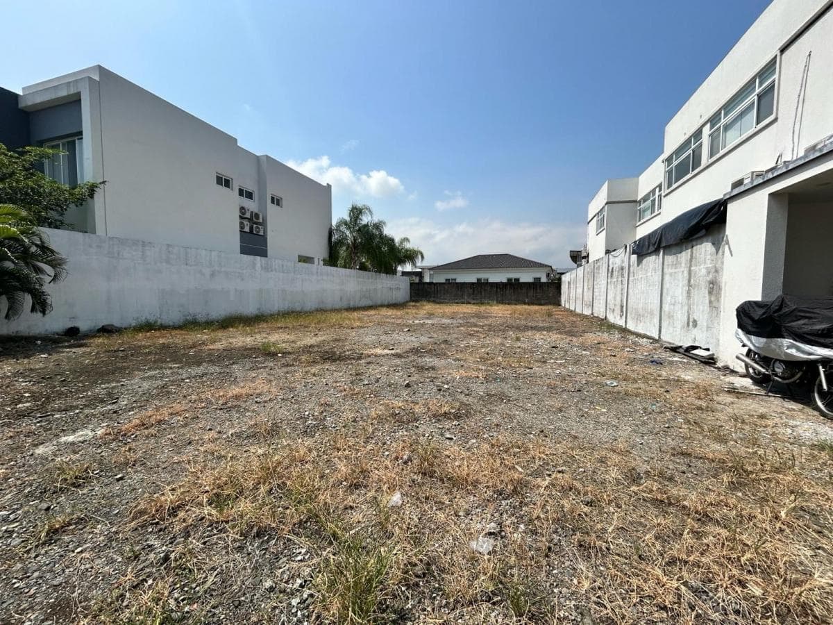 Terreno en Venta en Isla Mocolí Joeg, Guayas — imagen 6