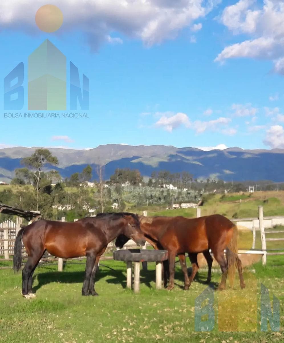 Terrenos en Venta en El Valle de Los Chillos, Sangolquí, Sector La Betaña — imagen 8