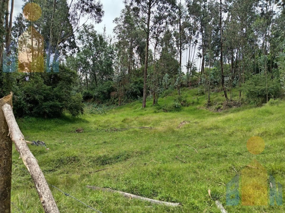 Terrenos en Venta en El Valle de Los Chillos, Sangolquí, Sector La Betaña — imagen 3