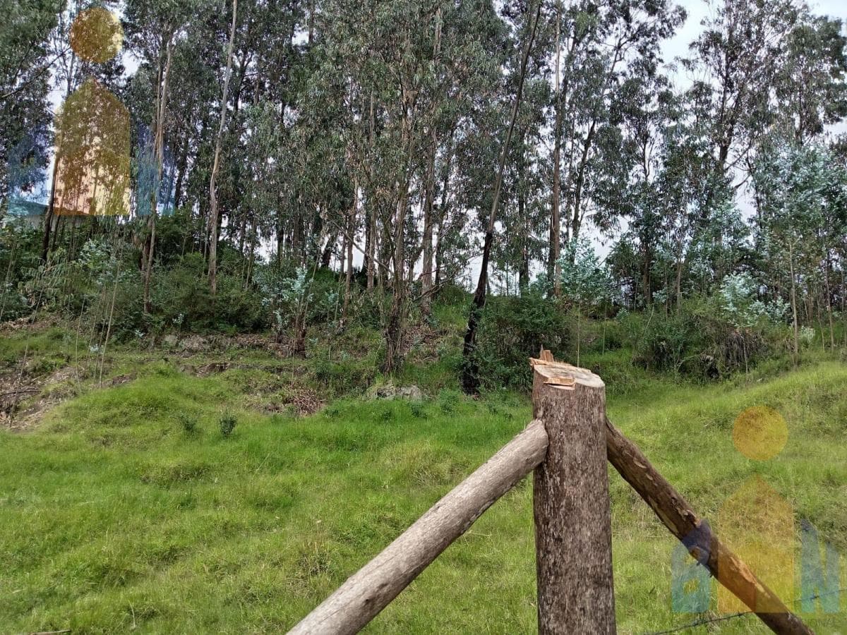 Terrenos en Venta en El Valle de Los Chillos, Sangolquí, Sector La Betaña — imagen 2