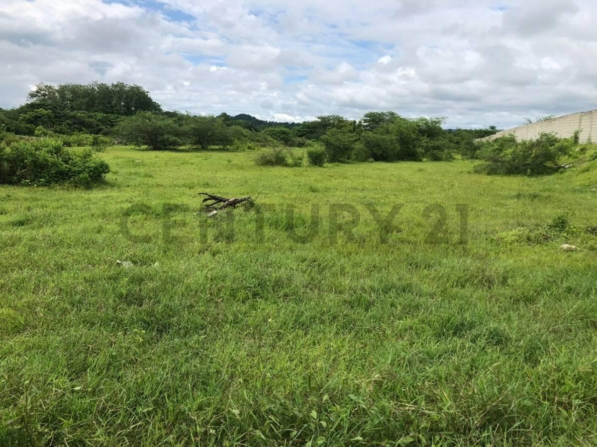 Venta 1,5347 Héctareas Vía a La Costa – Antes del Peaje P. Cev, Guayas — imagen 1
