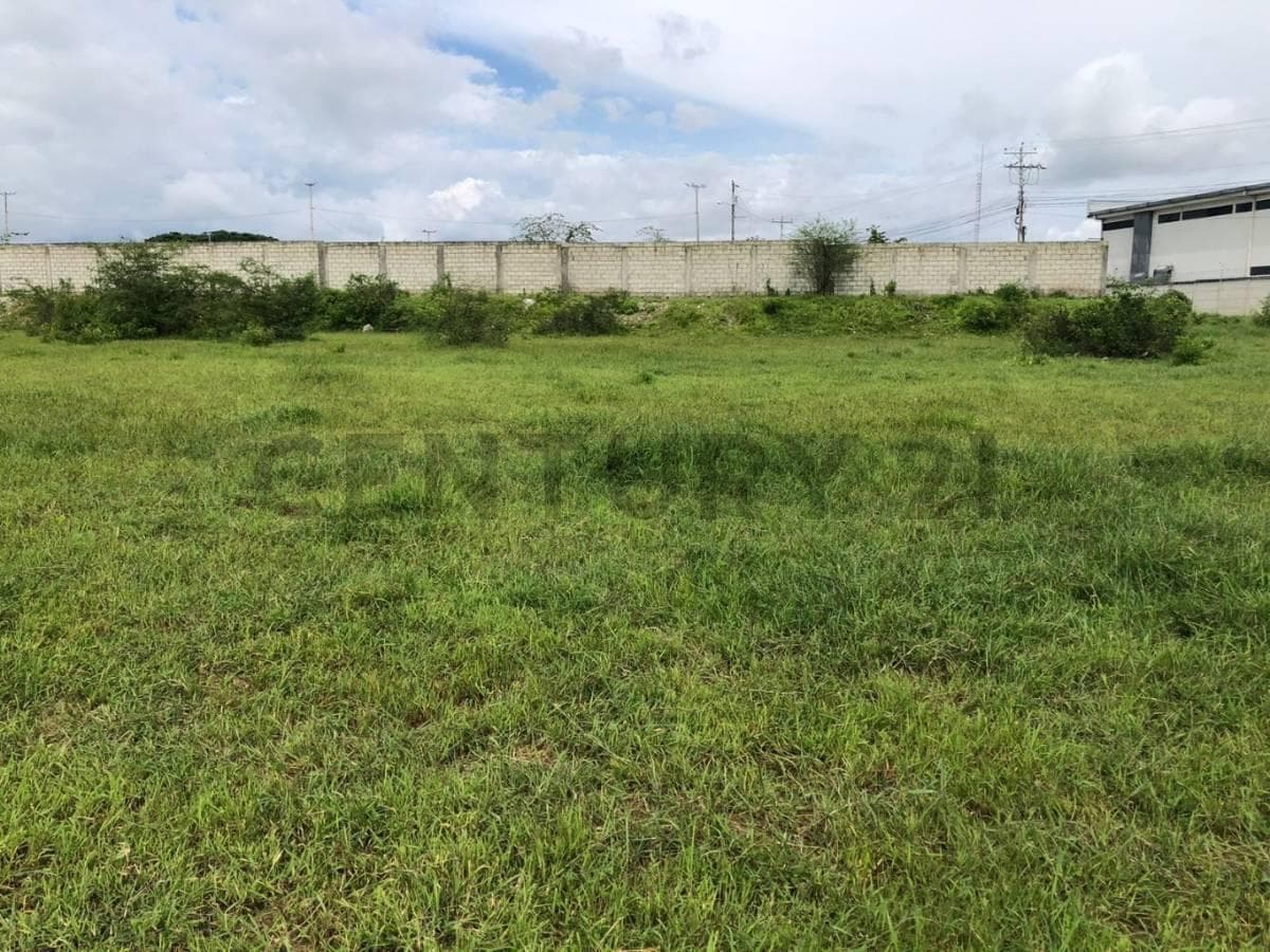Venta 1,5347 Héctareas Vía a La Costa – Antes del Peaje P. Cev, Guayas — imagen 10