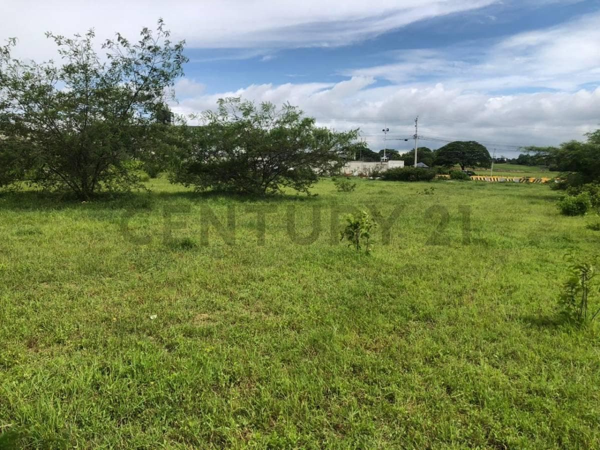 Venta 1,5347 Héctareas Vía a La Costa – Antes del Peaje P. Cev, Guayas — imagen 9