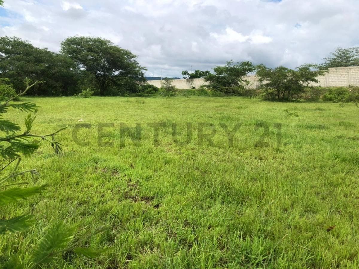 Venta 1,5347 Héctareas Vía a La Costa – Antes del Peaje P. Cev, Guayas — imagen 6