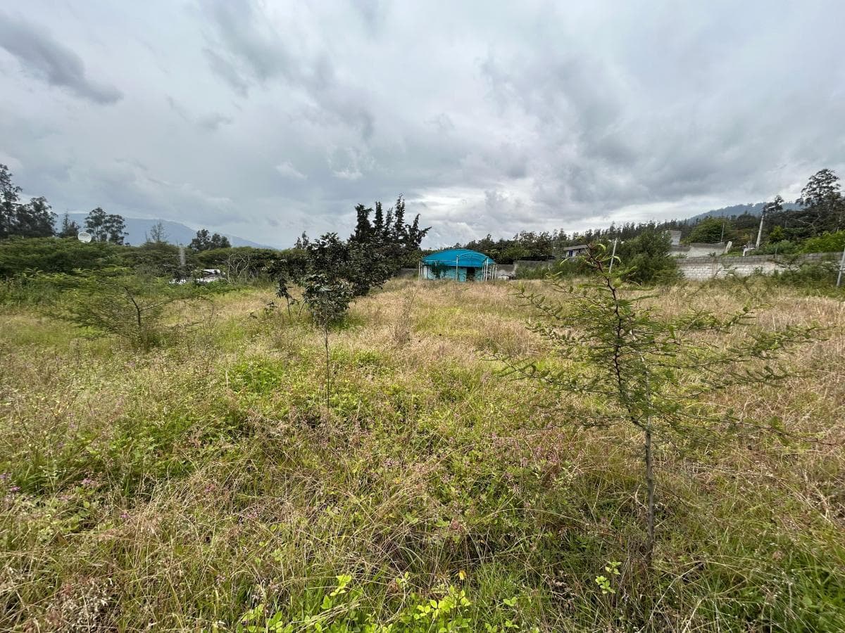 Se Vende Terreno en El Sector de Nayón — imagen 7