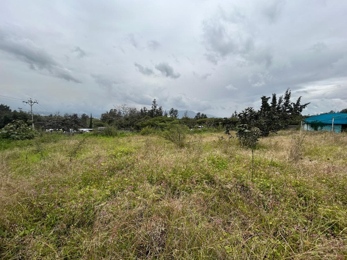 Se Vende Terreno en El Sector de Nayón — imagen 4