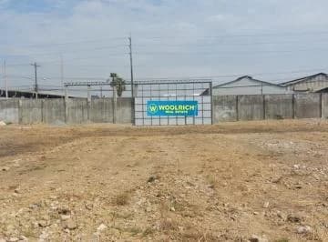 Alquilo Terreno Via a Daule, Km 15, Sector Brahma, Guayas — imagen 5