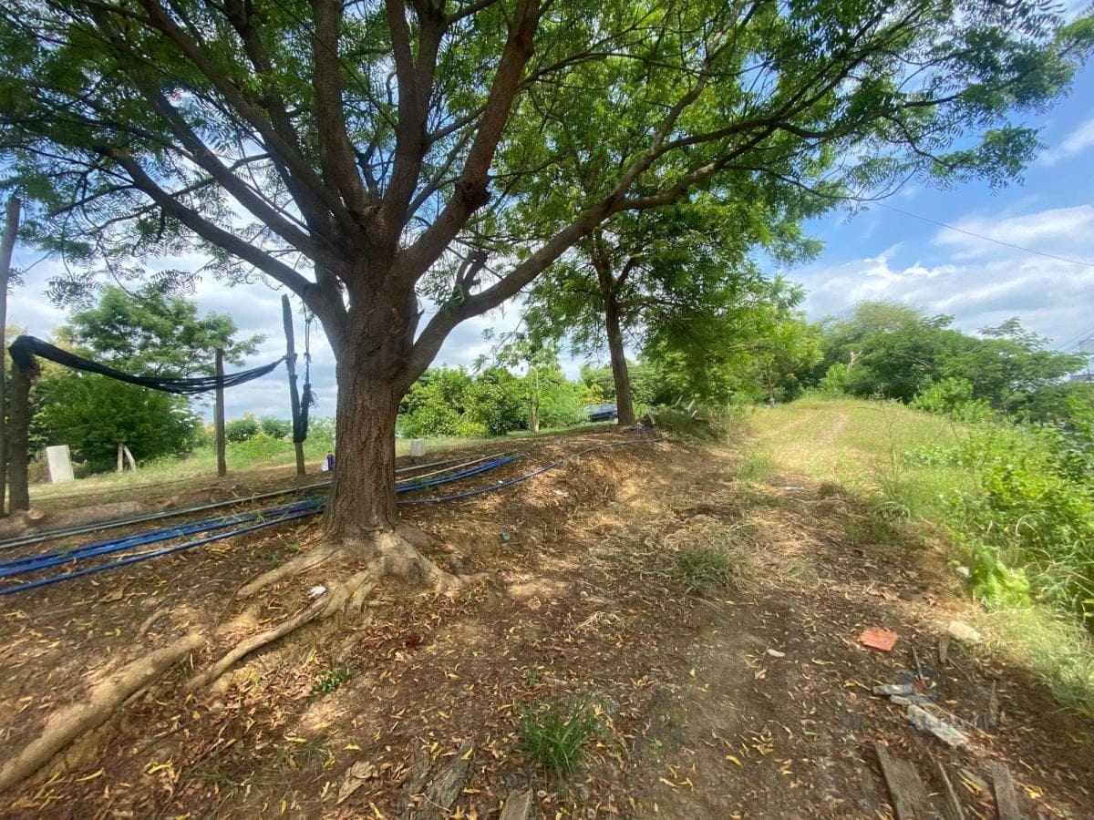 Venta de Terreno en Vía a La Costa. S. H, Guayas — imagen 7