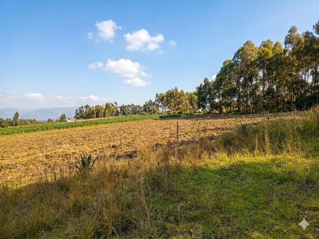 Terreno en Venta Malchingui — imagen 1
