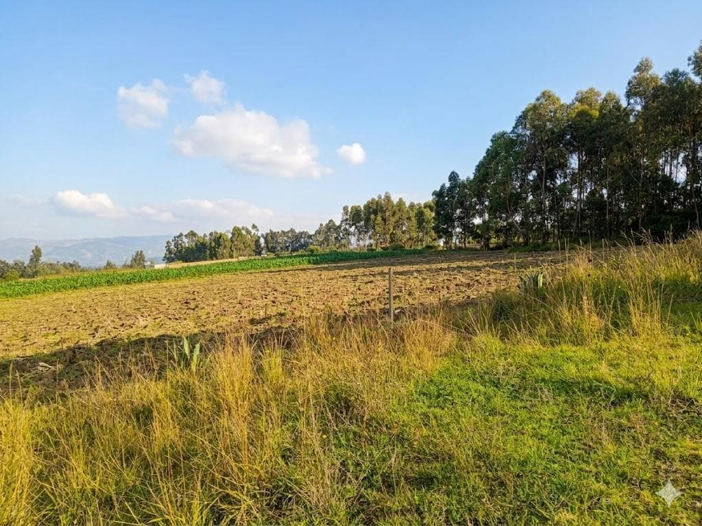 Terreno en Venta Malchingui — imagen 4
